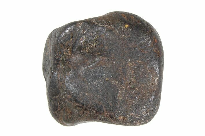 Sericho Pallasite Meteorite ( g) Metal Skeleton #383190